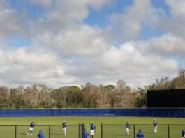 Blue Jays taking interest in hockey as camp opens