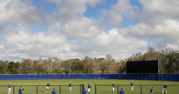 Blue Jays taking interest in hockey as camp opens